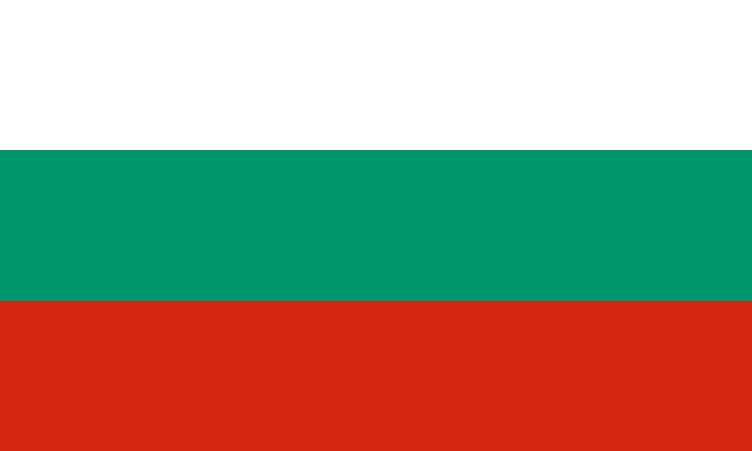 bg-bg flag